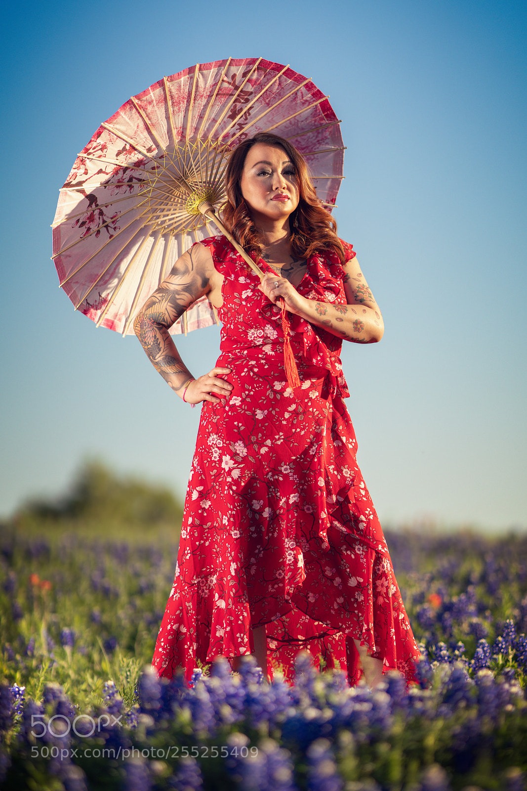 Sony a99 II sample photo. Mama san bluebonnets photography