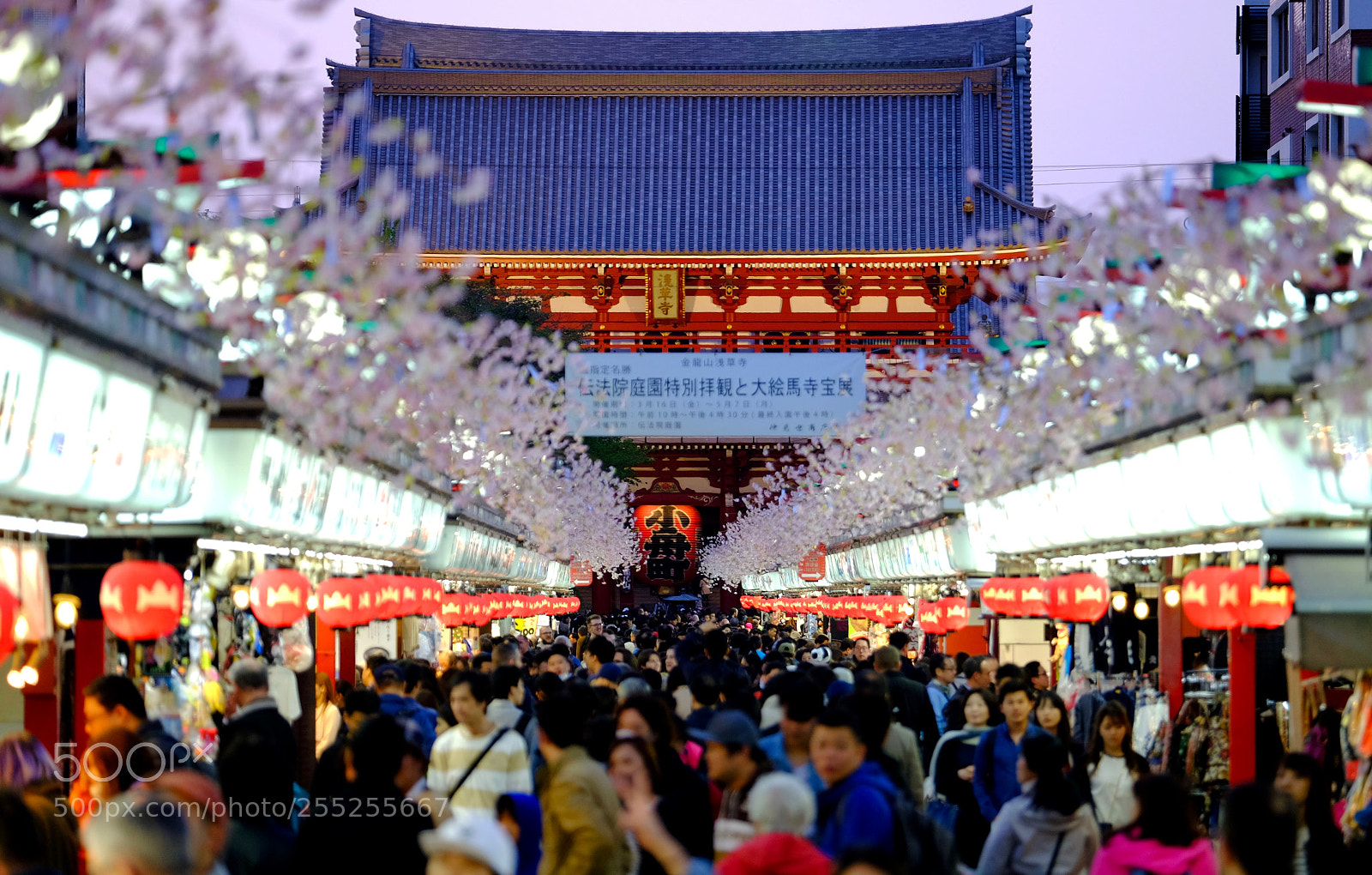 Fujifilm X-E2 sample photo. Sensoji temple in afternoon photography