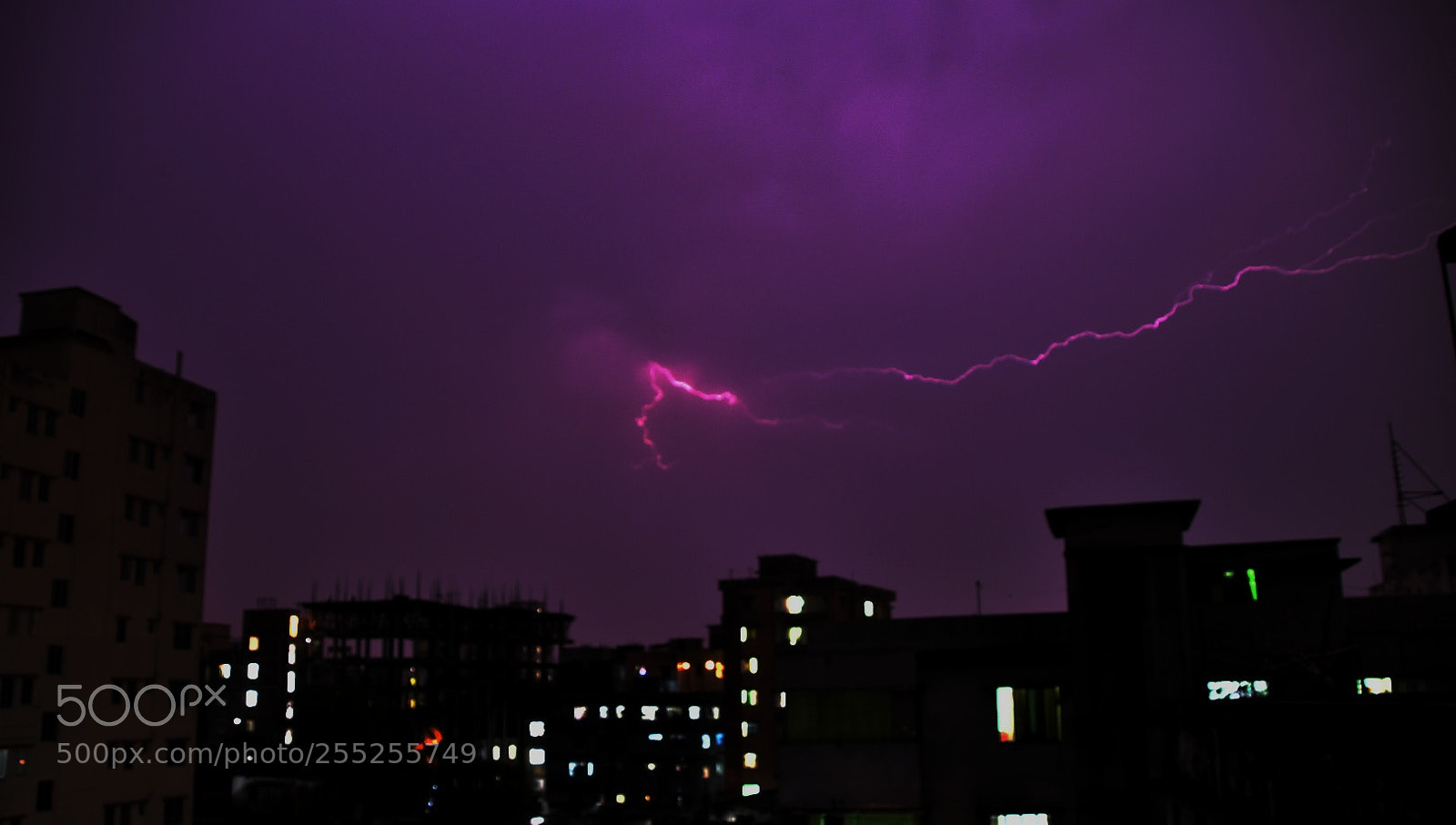 Nikon D5500 sample photo. Untitled photography
