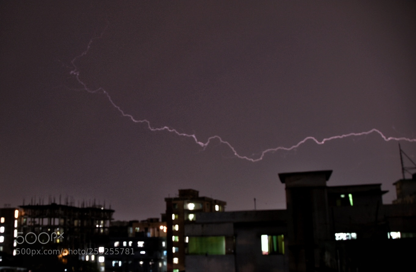 Nikon D5500 sample photo. Untitled photography