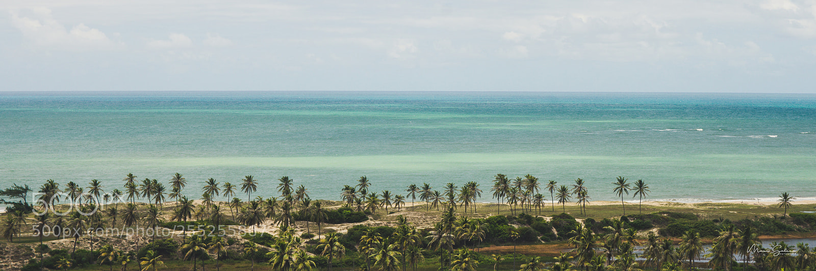 Nikon D3400 sample photo. Only, brasil photography