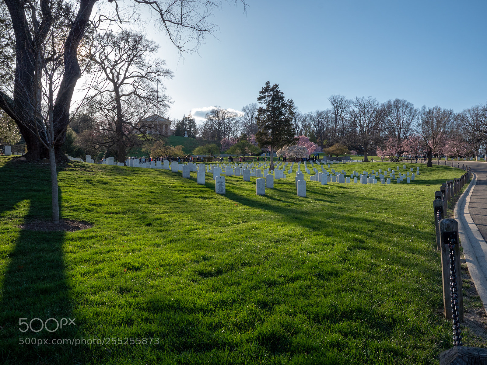 Panasonic Lumix DMC-GX8 sample photo. Dc - arlington photography