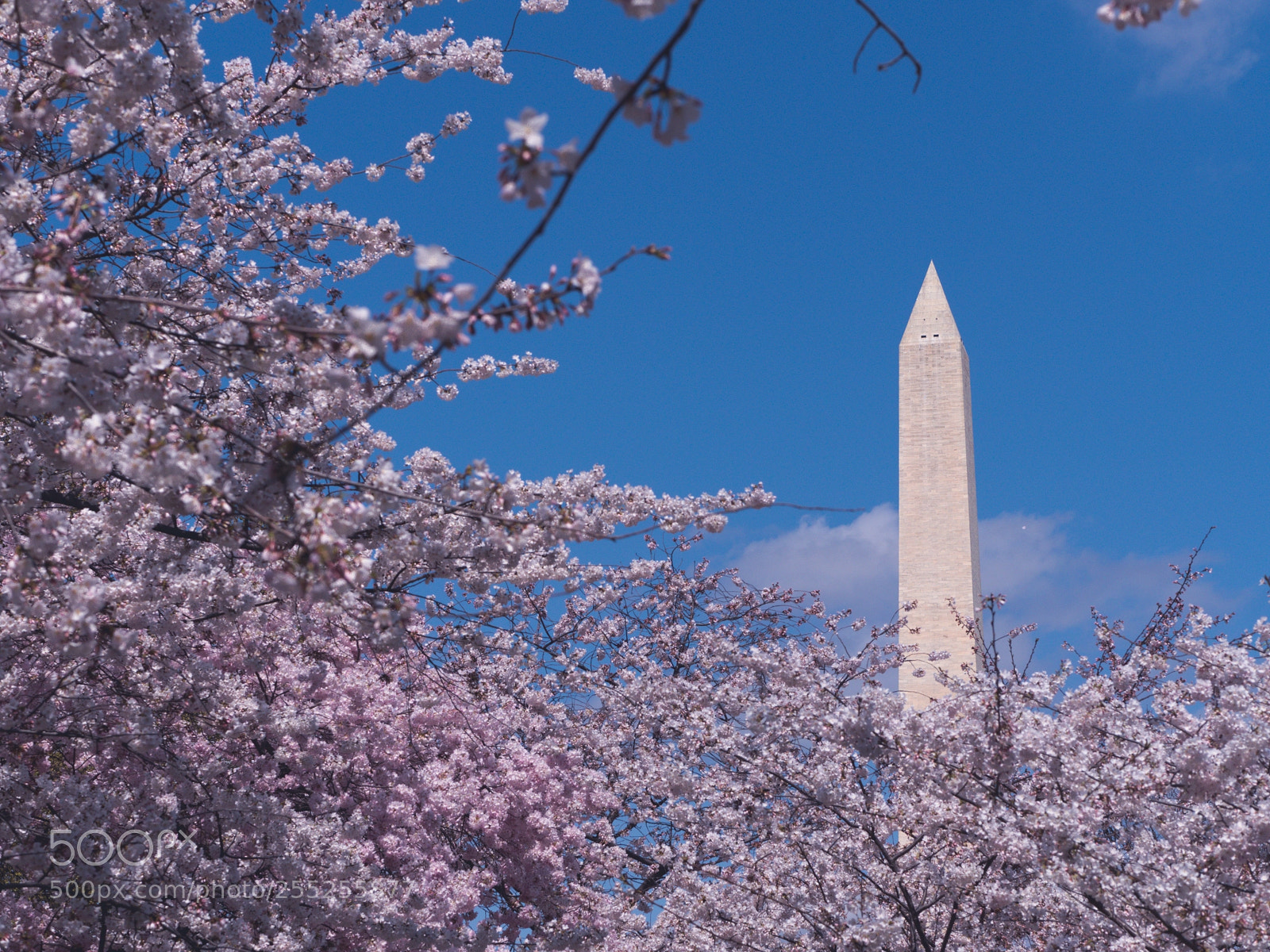 Panasonic Lumix DMC-GX8 sample photo. Dc - washington monument photography