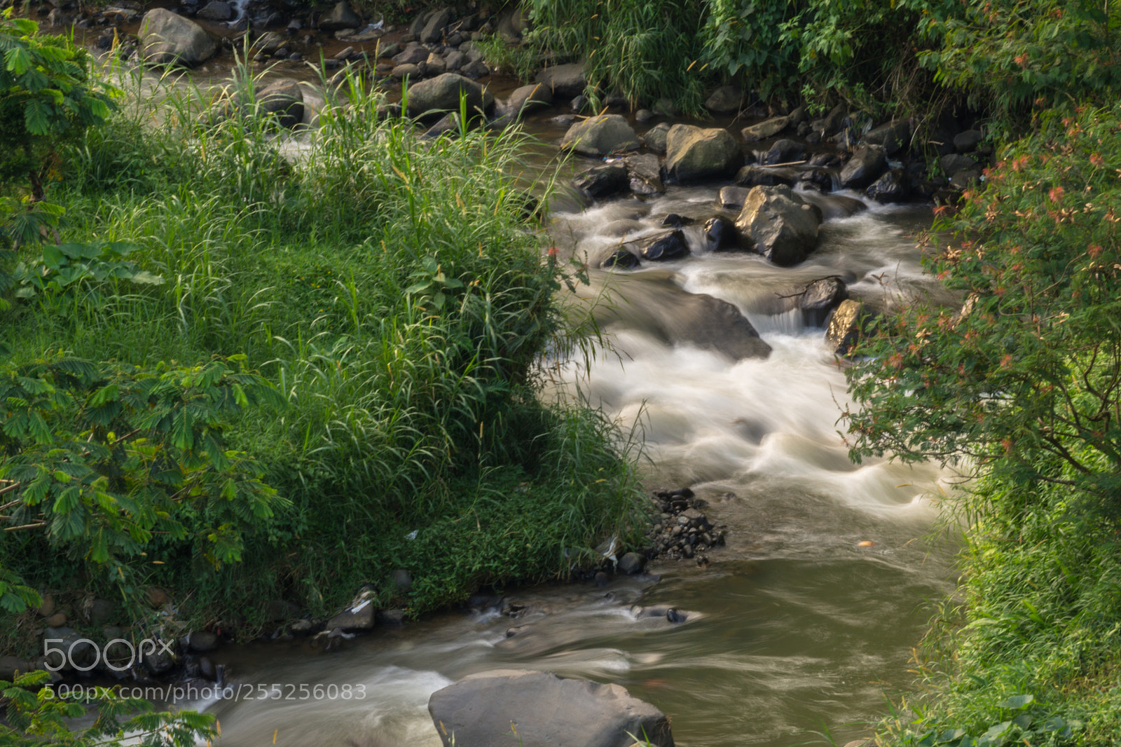 Sony a6000 sample photo. The river photography