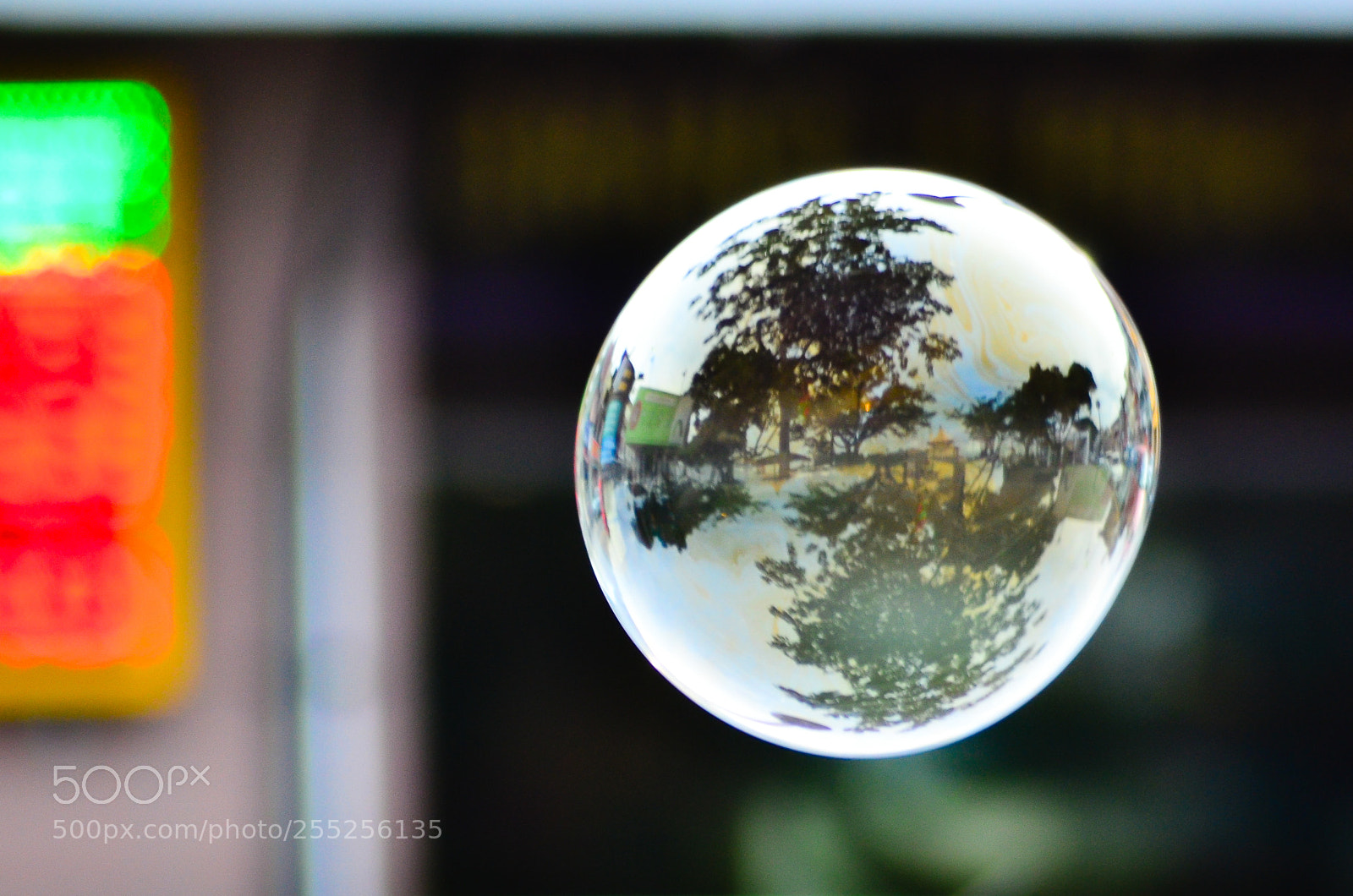 Nikon D7000 sample photo. Trapped in the bubble photography