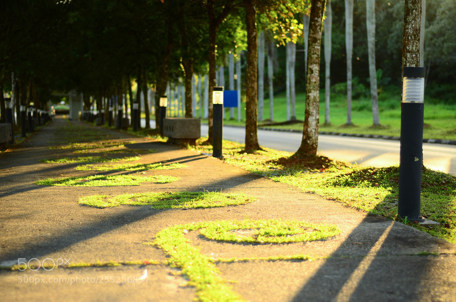 Nikon D7000 sample photo. Pedestrian walkway of unimas photography