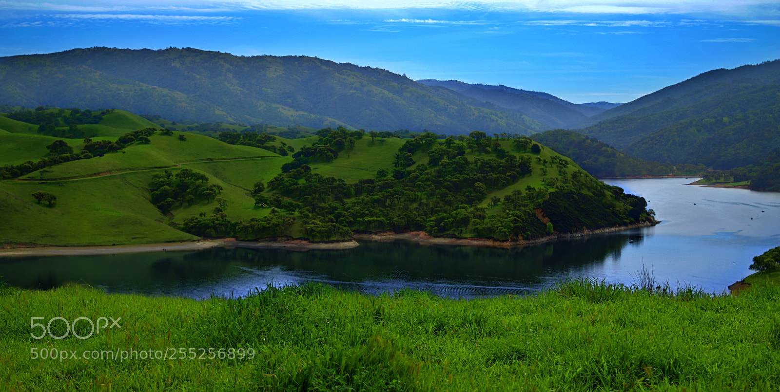 Nikon D3200 sample photo. Blues and greens photography