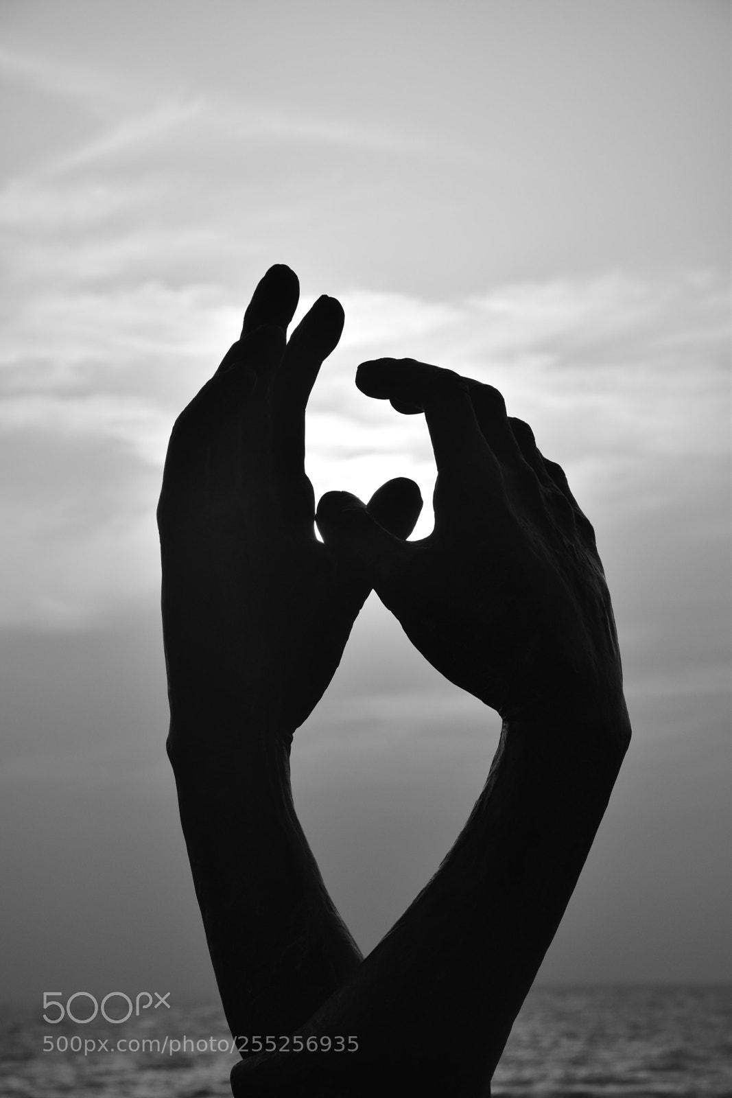 Nikon D5300 sample photo. Love gesture photography