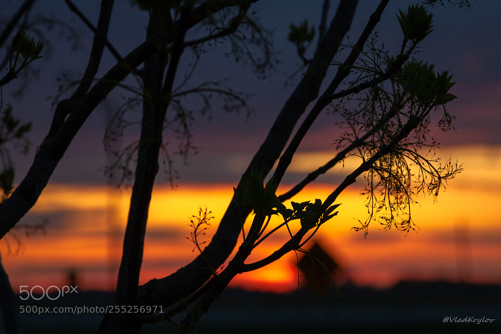 Canon EOS 5D Mark II sample photo. Colors of sunset. photography