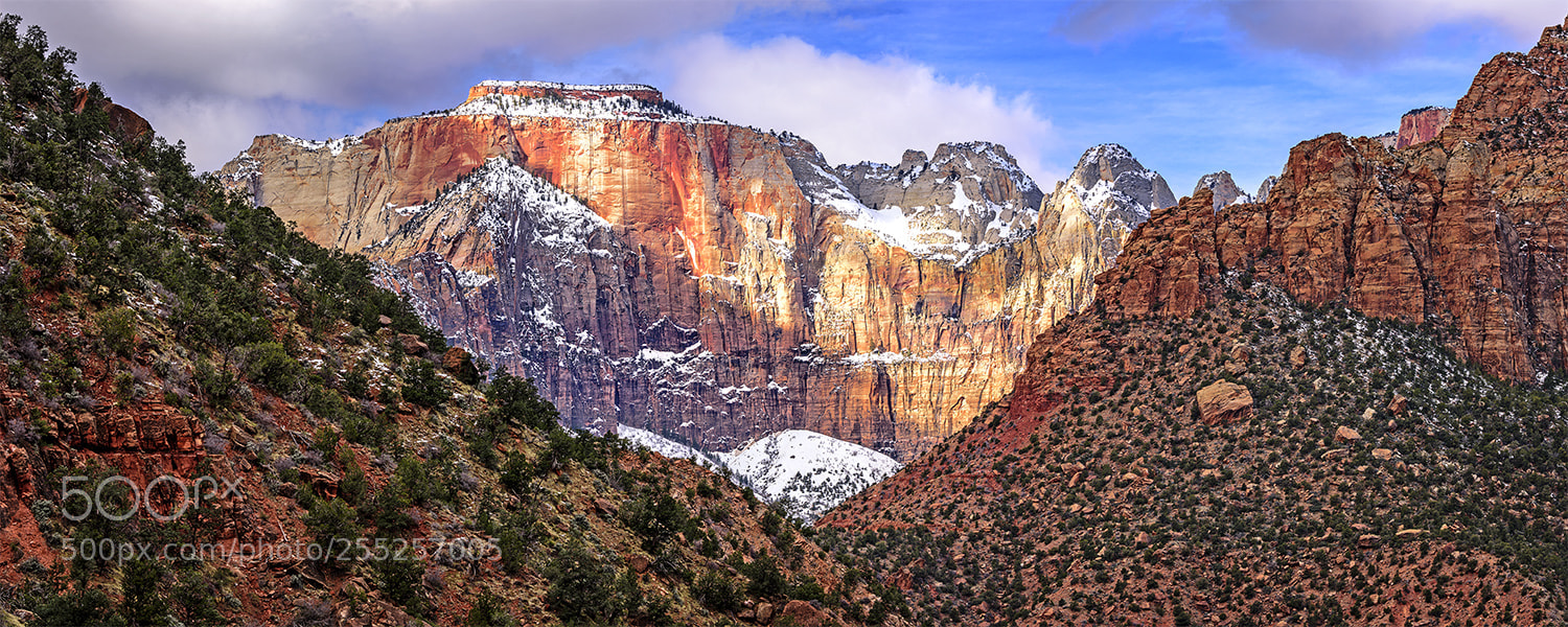 Nikon D810 sample photo. Zion panorama photography