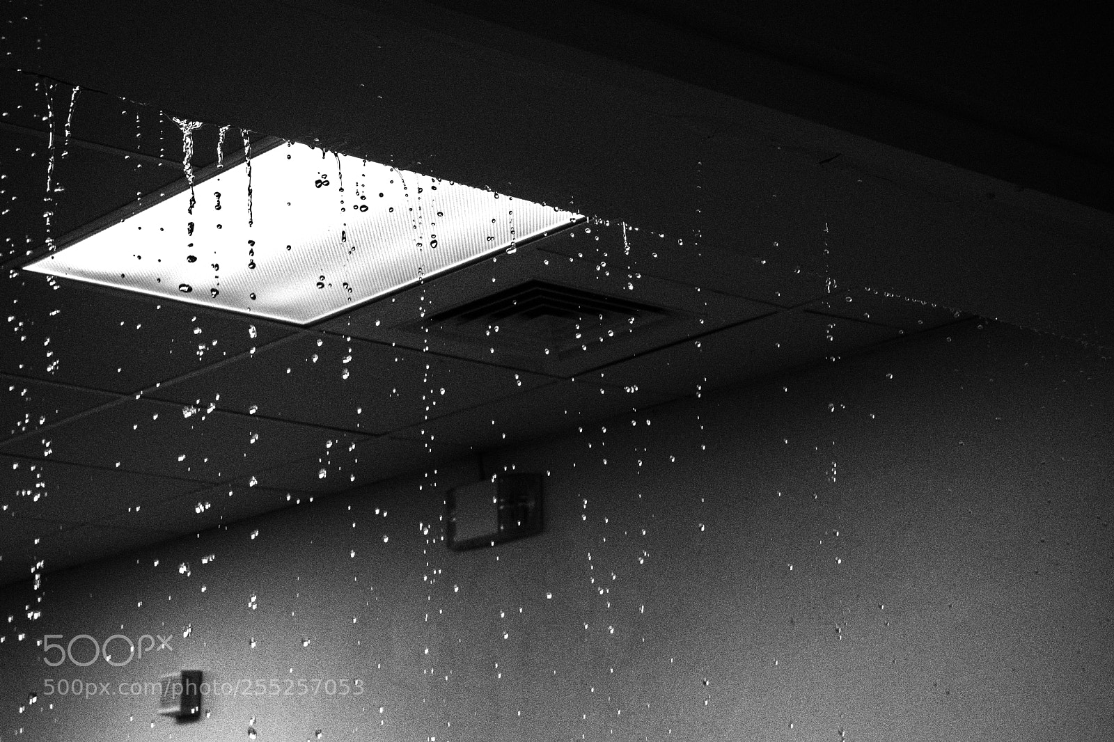 Nikon D3300 sample photo. Untitled photography