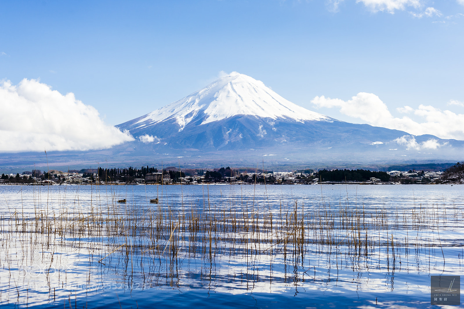 Nikon D700 sample photo. Mount fuji reflection photography