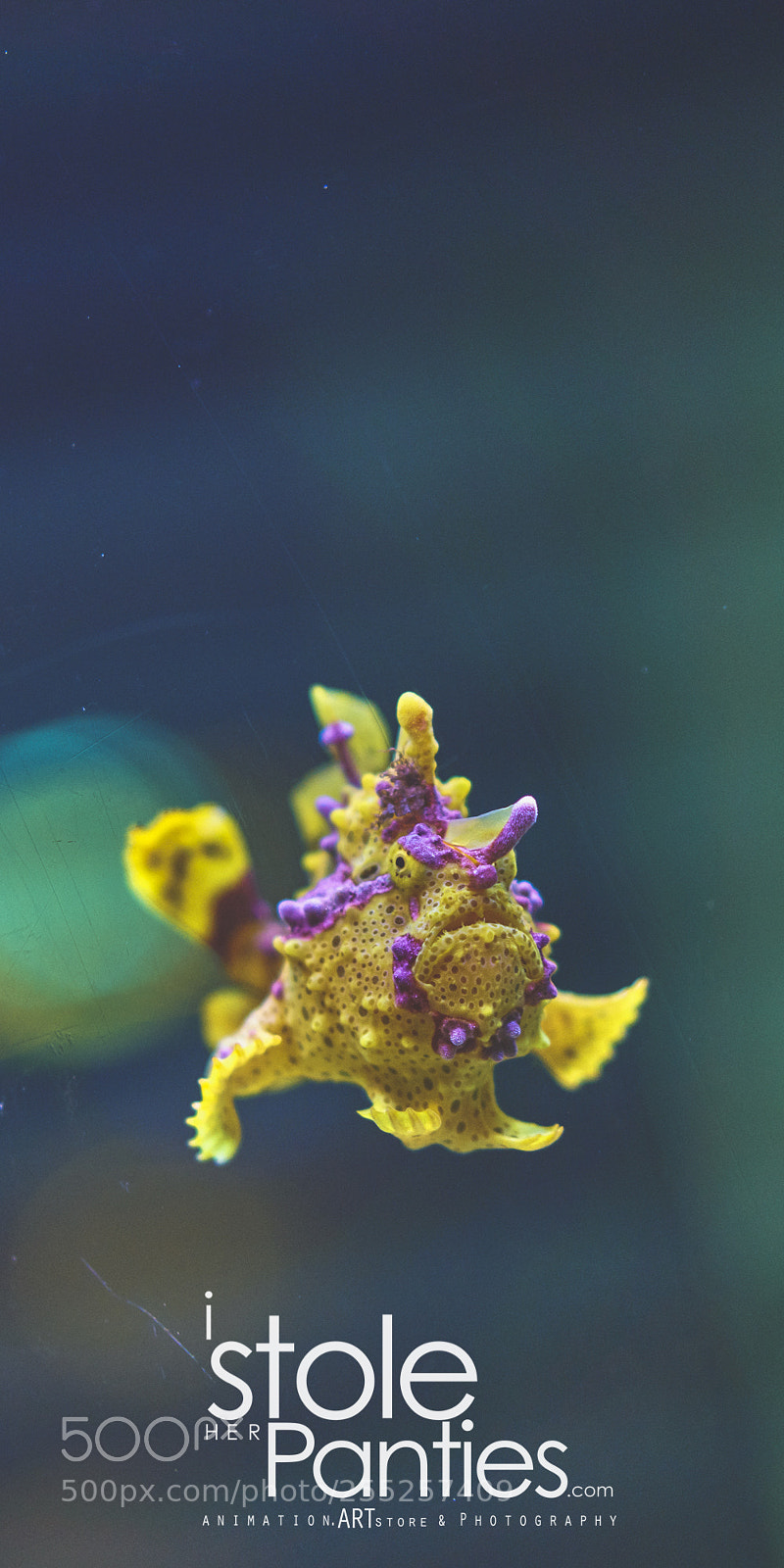 Sony a7R II sample photo. Yokohama hakkeijima sea paradise photography