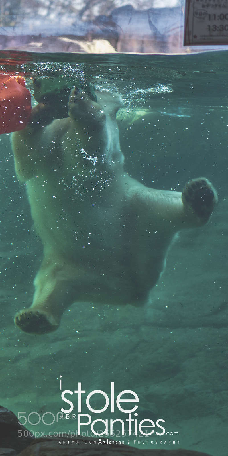 Sony a7R II sample photo. Yagiyama zoo sendai, miyagi photography