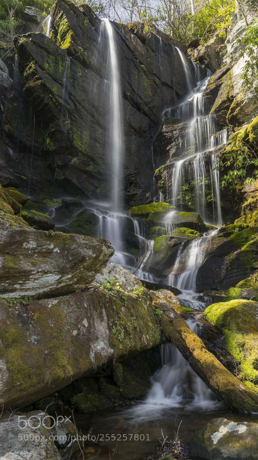 Nikon D3300 sample photo. English falls photography