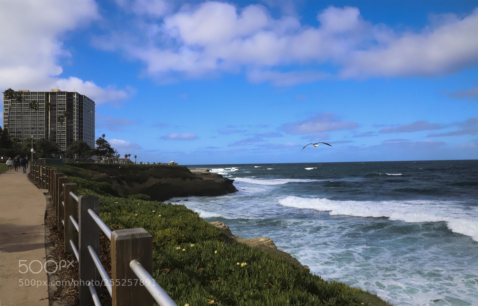 Canon EOS 6D Mark II sample photo. San diego photography