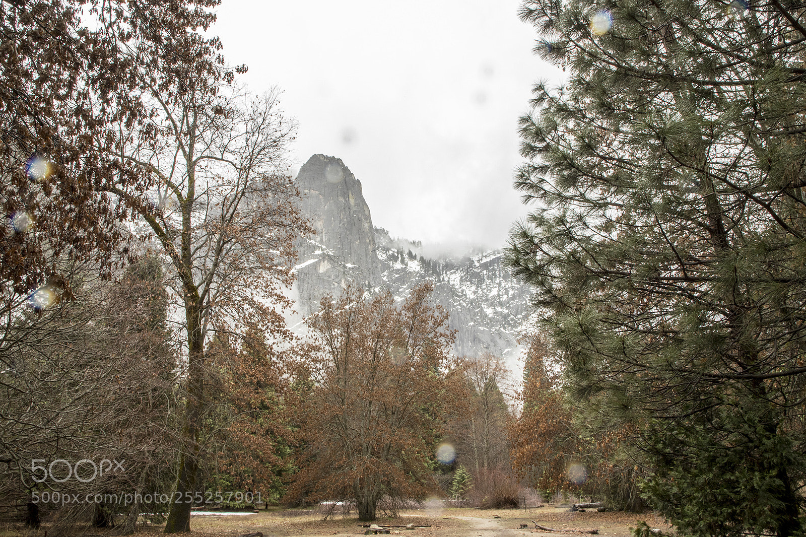 Canon EOS 6D Mark II sample photo. Yosemite park photography