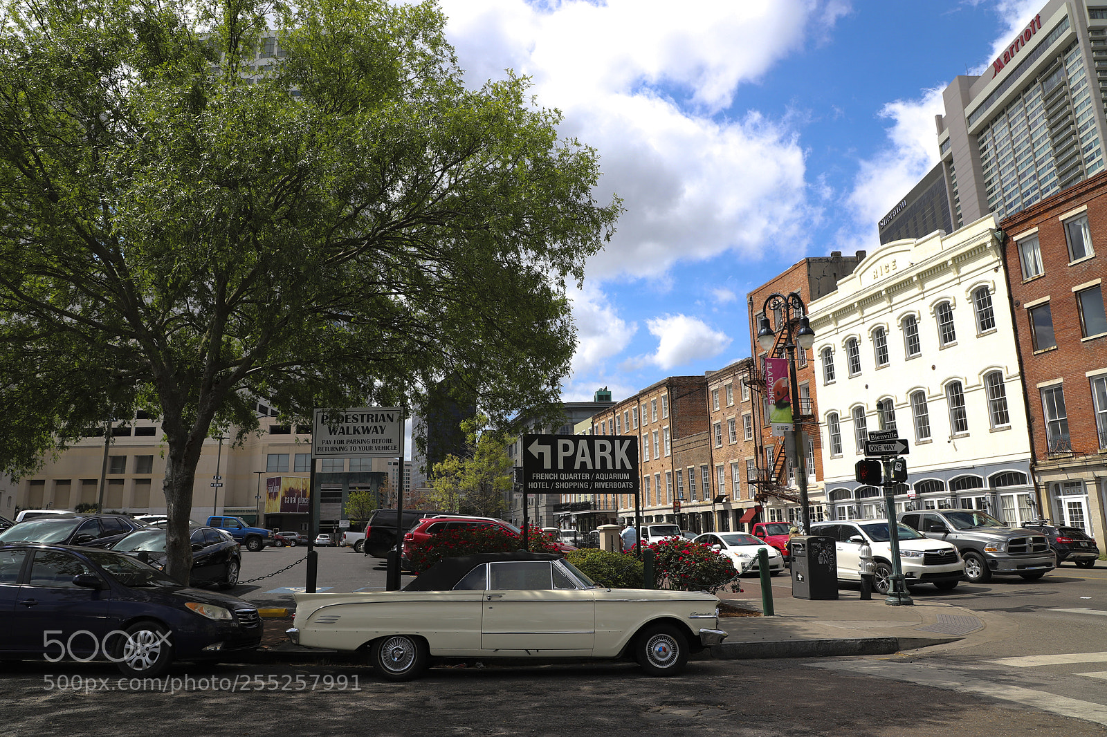 Canon EOS 6D Mark II sample photo. New orleans photography