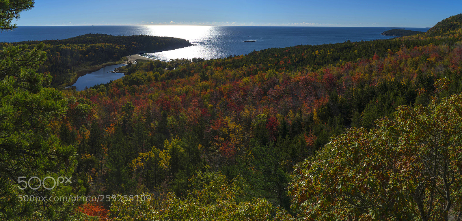 Sony a7R II sample photo. Beehive panorama photography