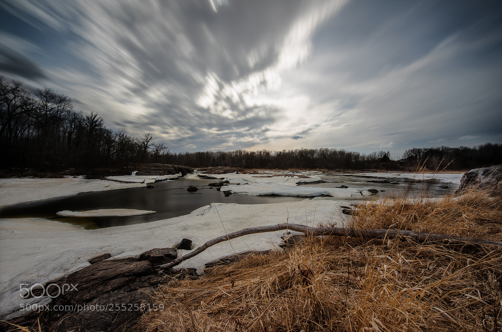Nikon D810 sample photo. Motion photography
