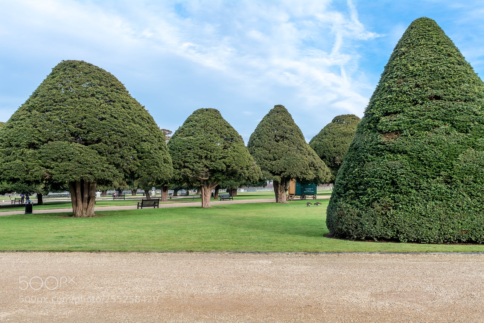 Nikon D5200 sample photo. Hampton court palace photography