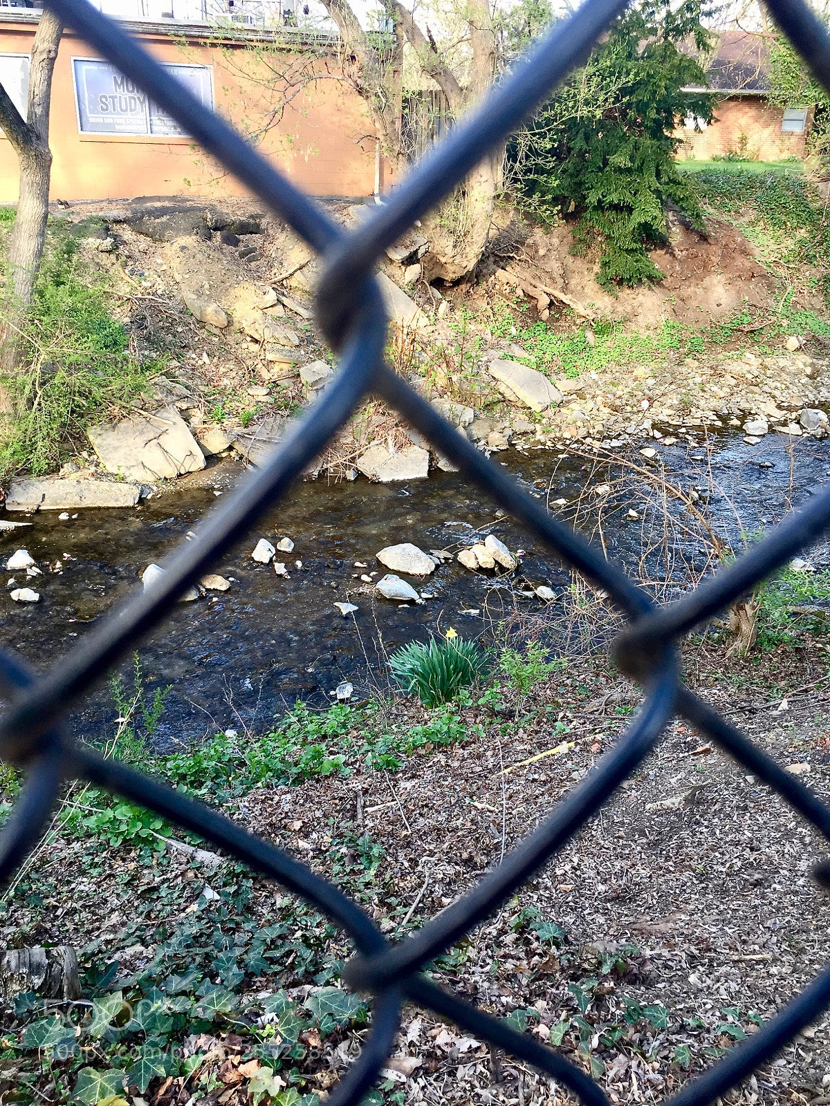 Apple iPhone 6 sample photo. Ffbeca photography