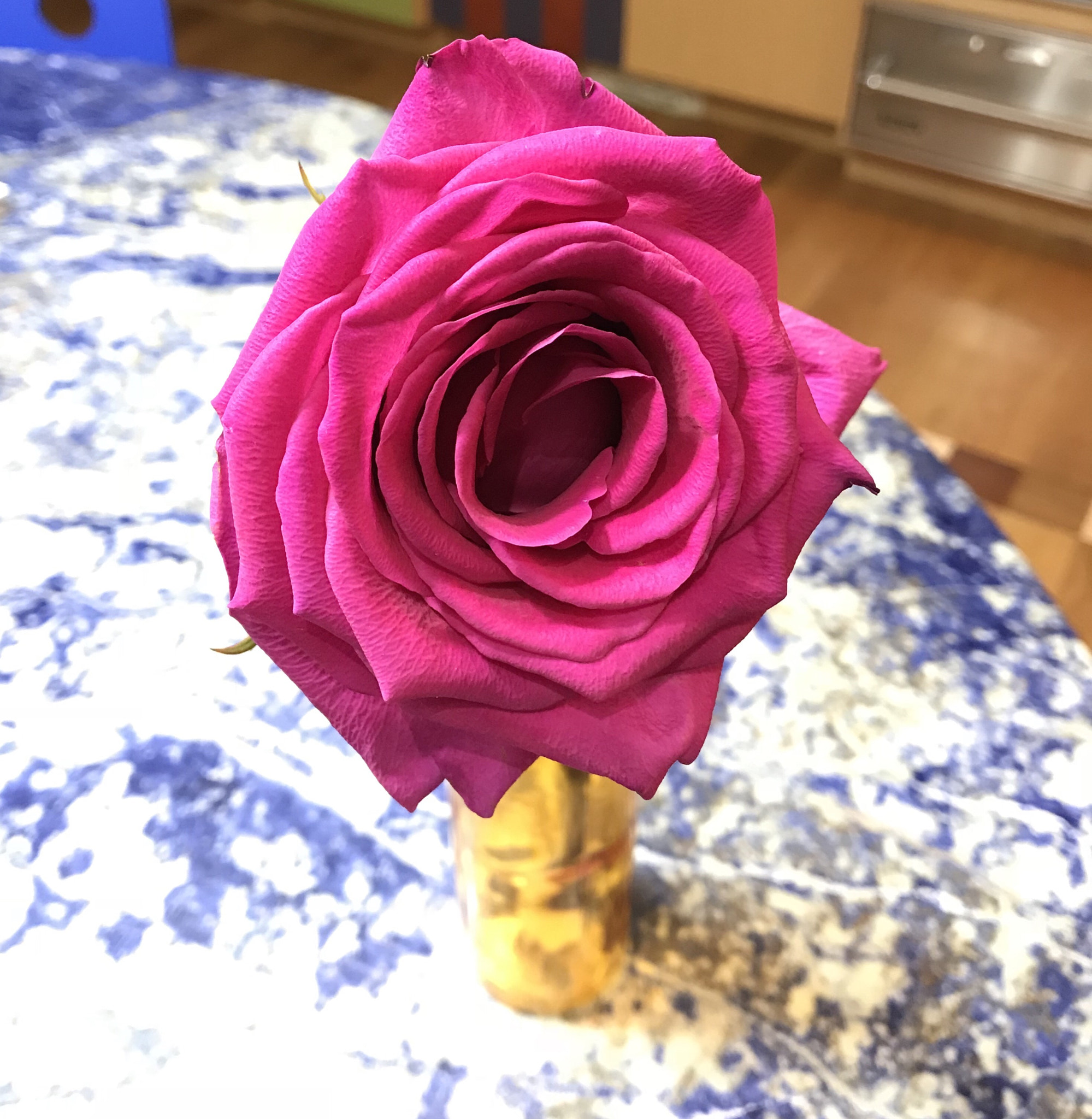 Apple iPad Pro (10.5-inch) sample photo. Bbfaec fadfb photography