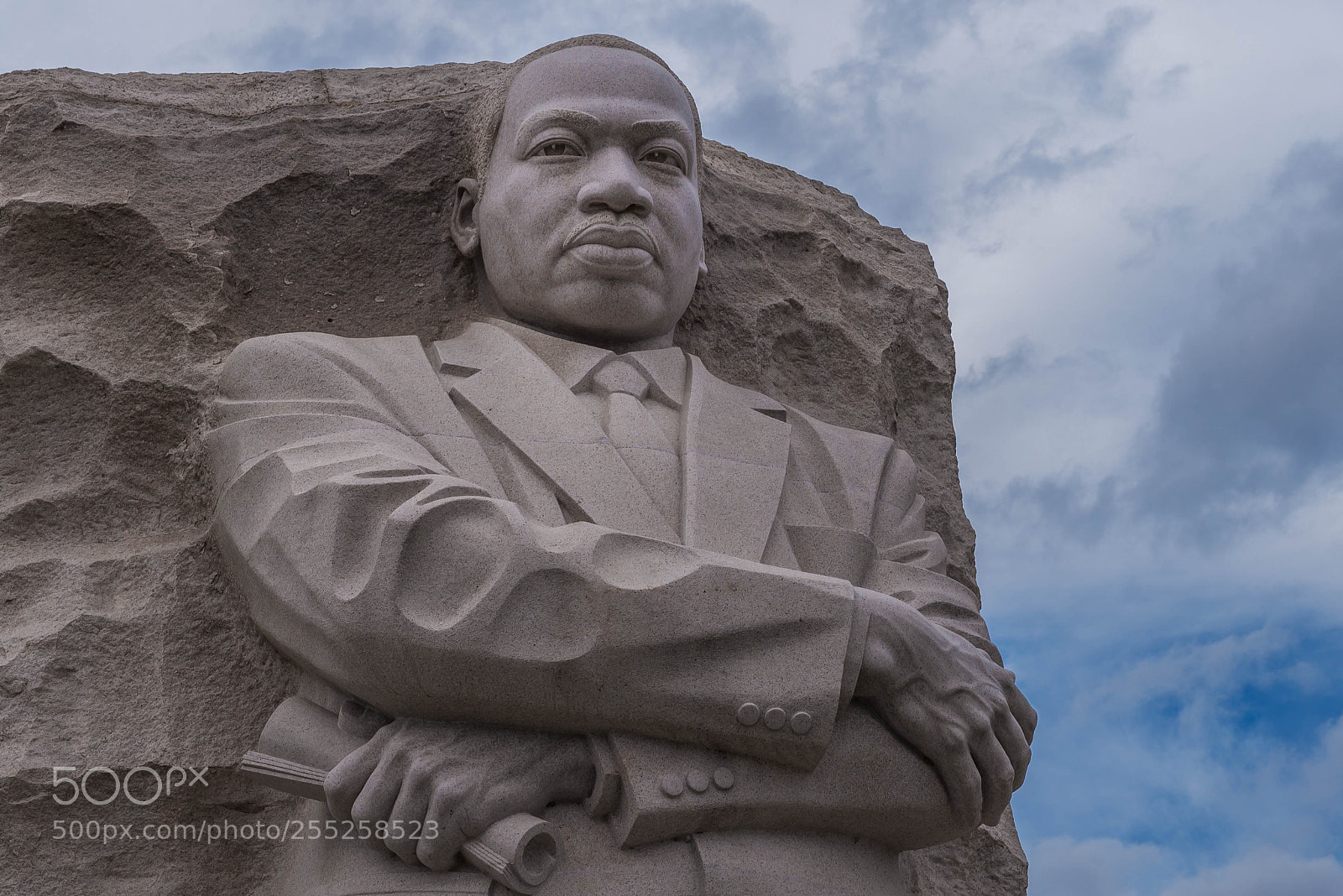 Nikon D610 sample photo. King photography