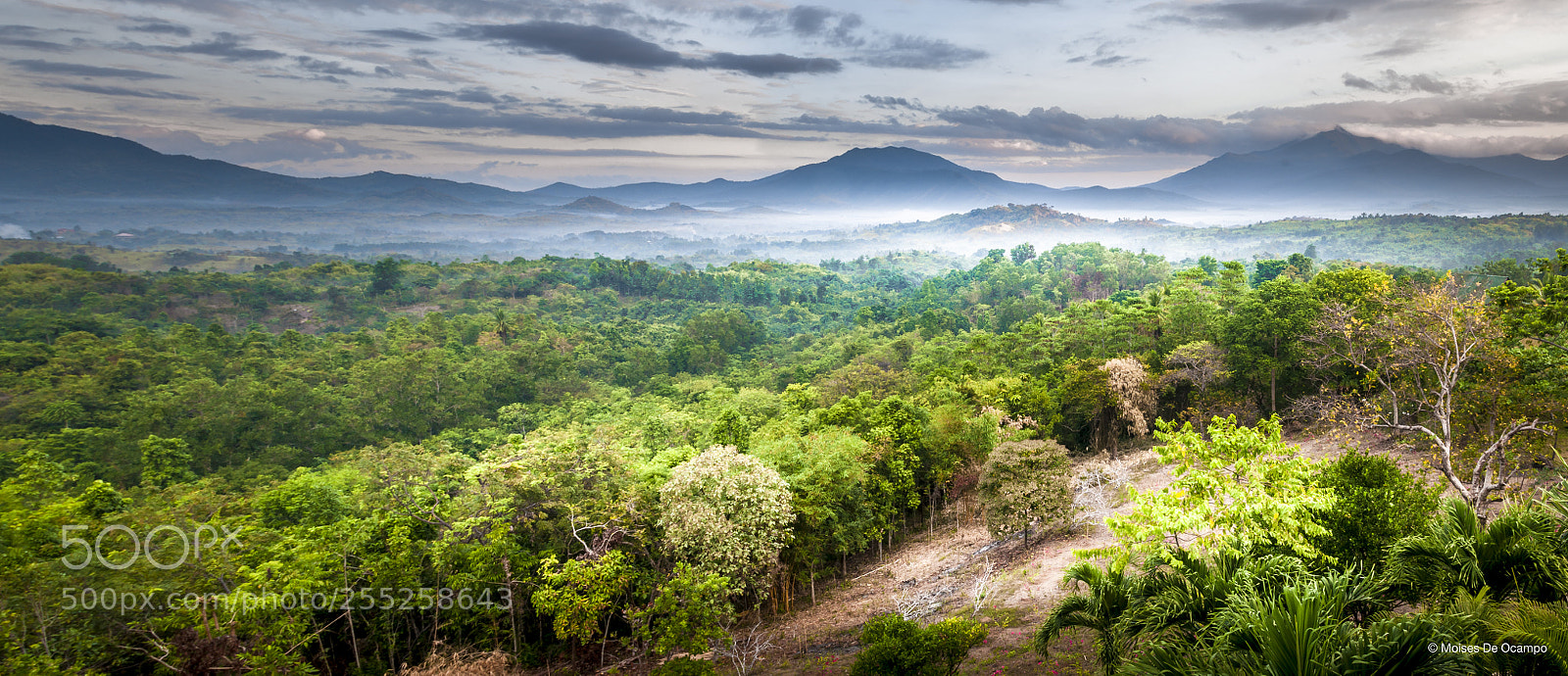 Nikon D90 sample photo. Misty morning photography