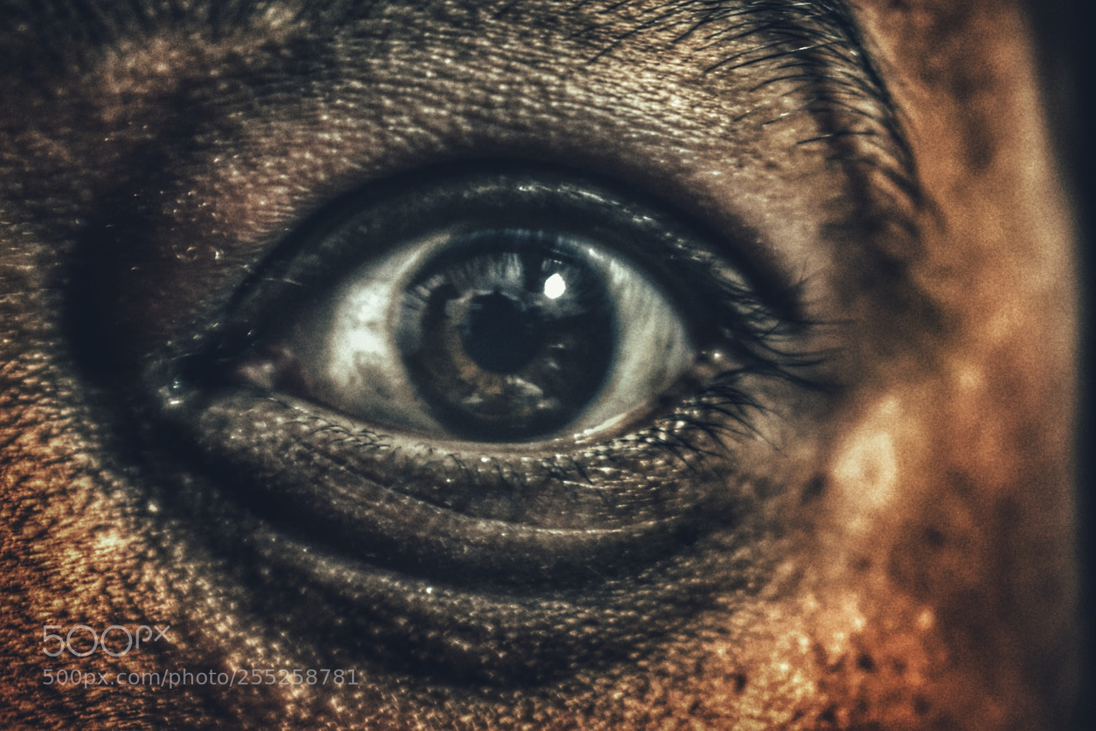 Nikon D5500 sample photo. An eye photography