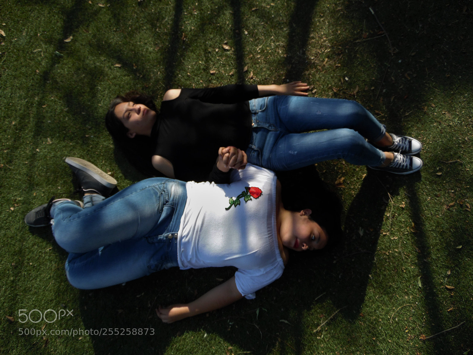 Samsung WB1100F/WB1101F/WB1102F sample photo. "yin yang" photography