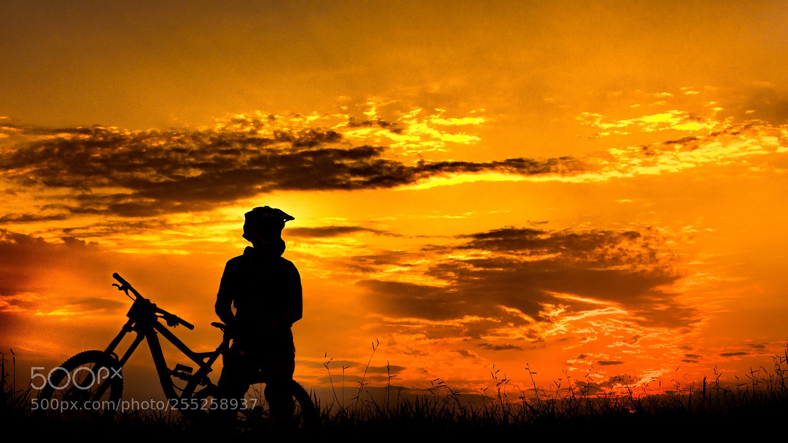 Nikon D7200 sample photo. Biker silhouette photography