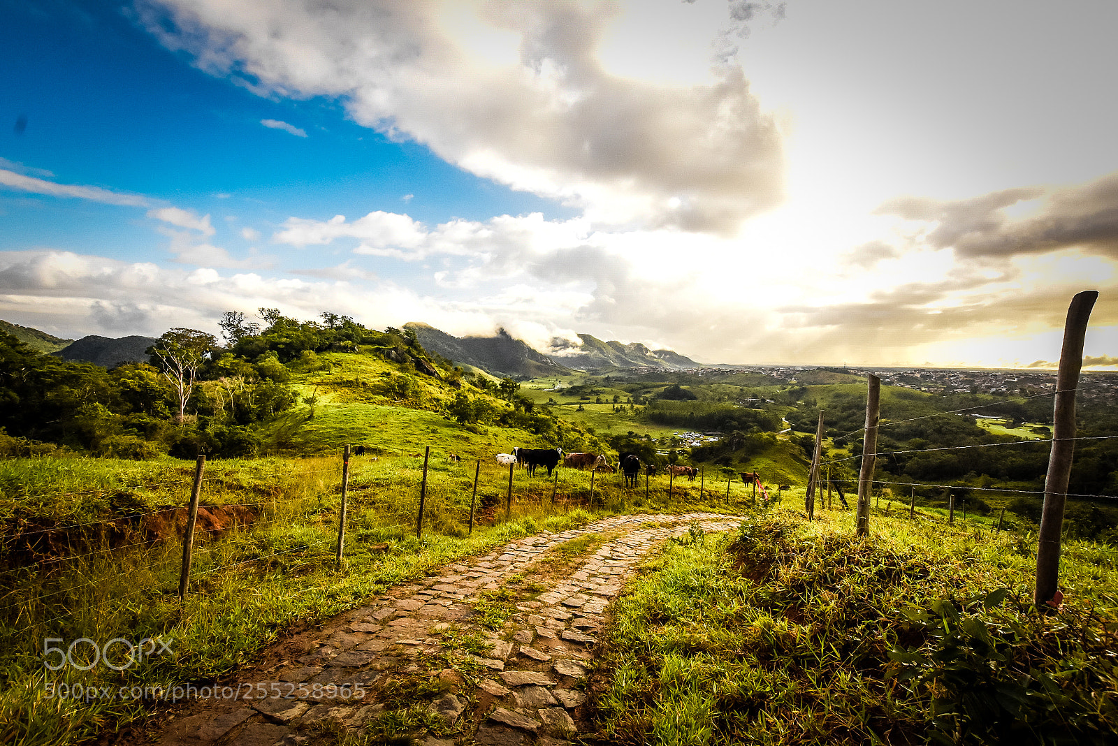 Nikon D7200 sample photo. Mestre lvaro - es photography