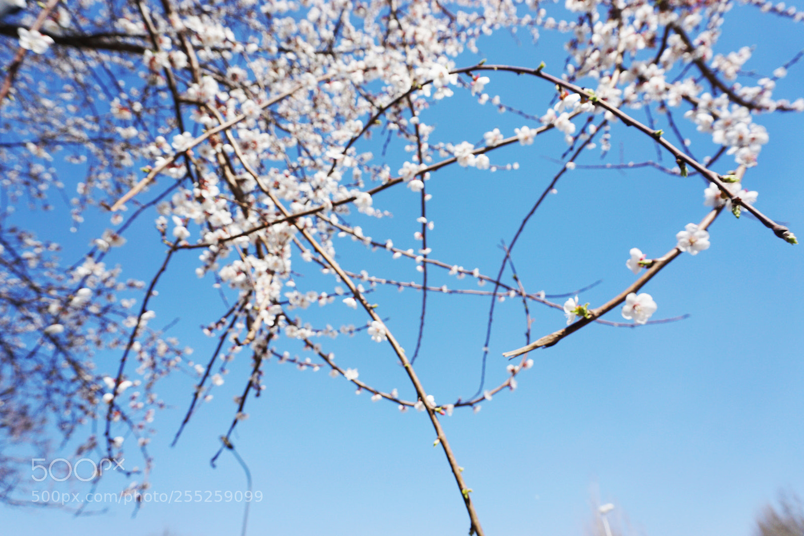 Sony a6000 sample photo. Untitled photography