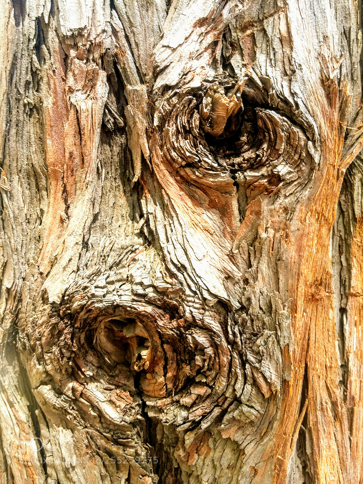 LG G3 sample photo. Untitled photography