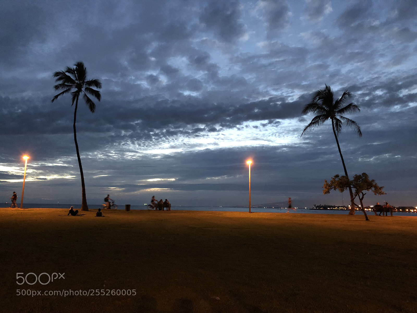 Apple iPhone X sample photo. Nightlife at magic island  photography