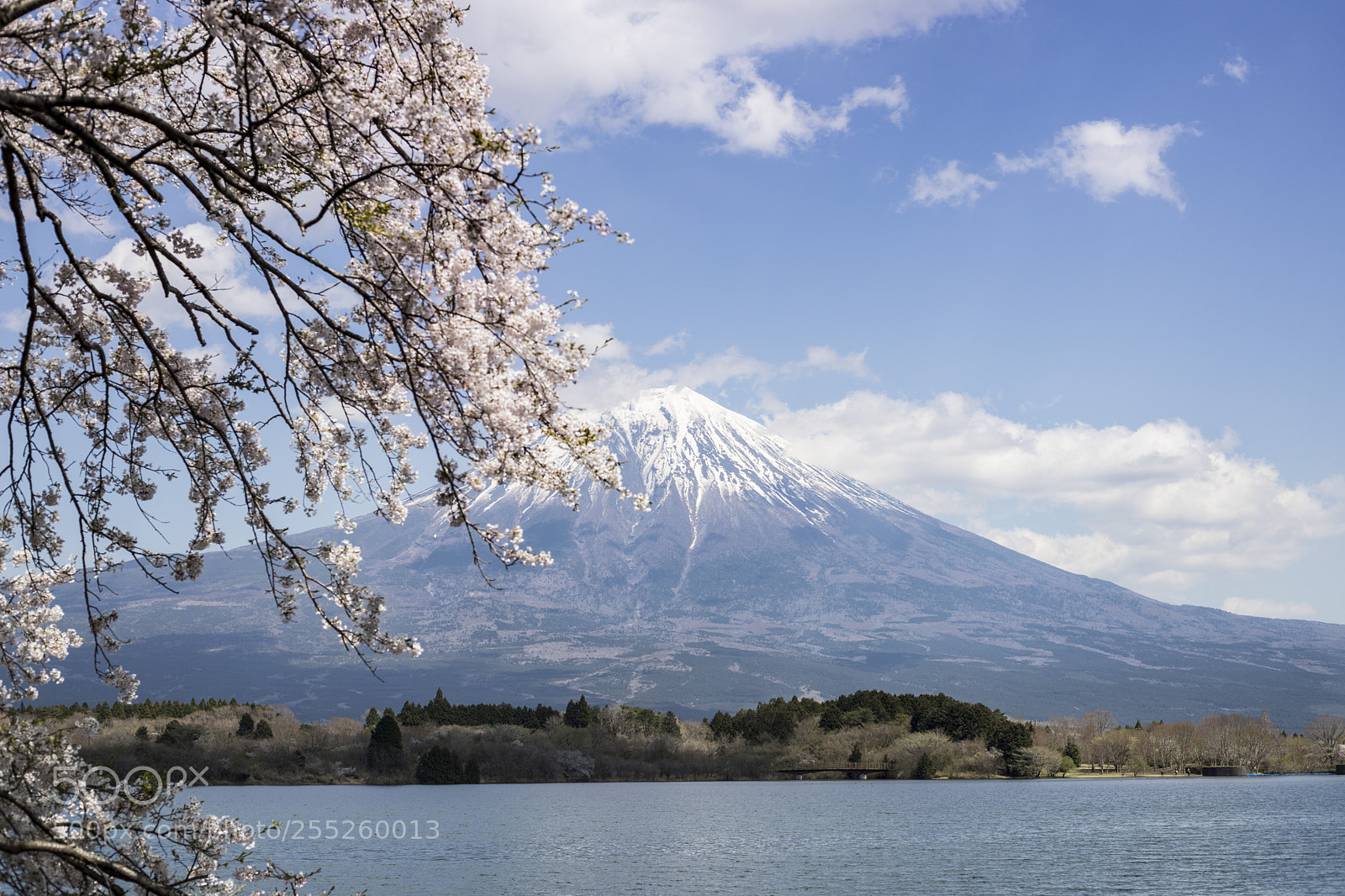Canon EOS 6D Mark II sample photo. Snow capped mount fuji photography