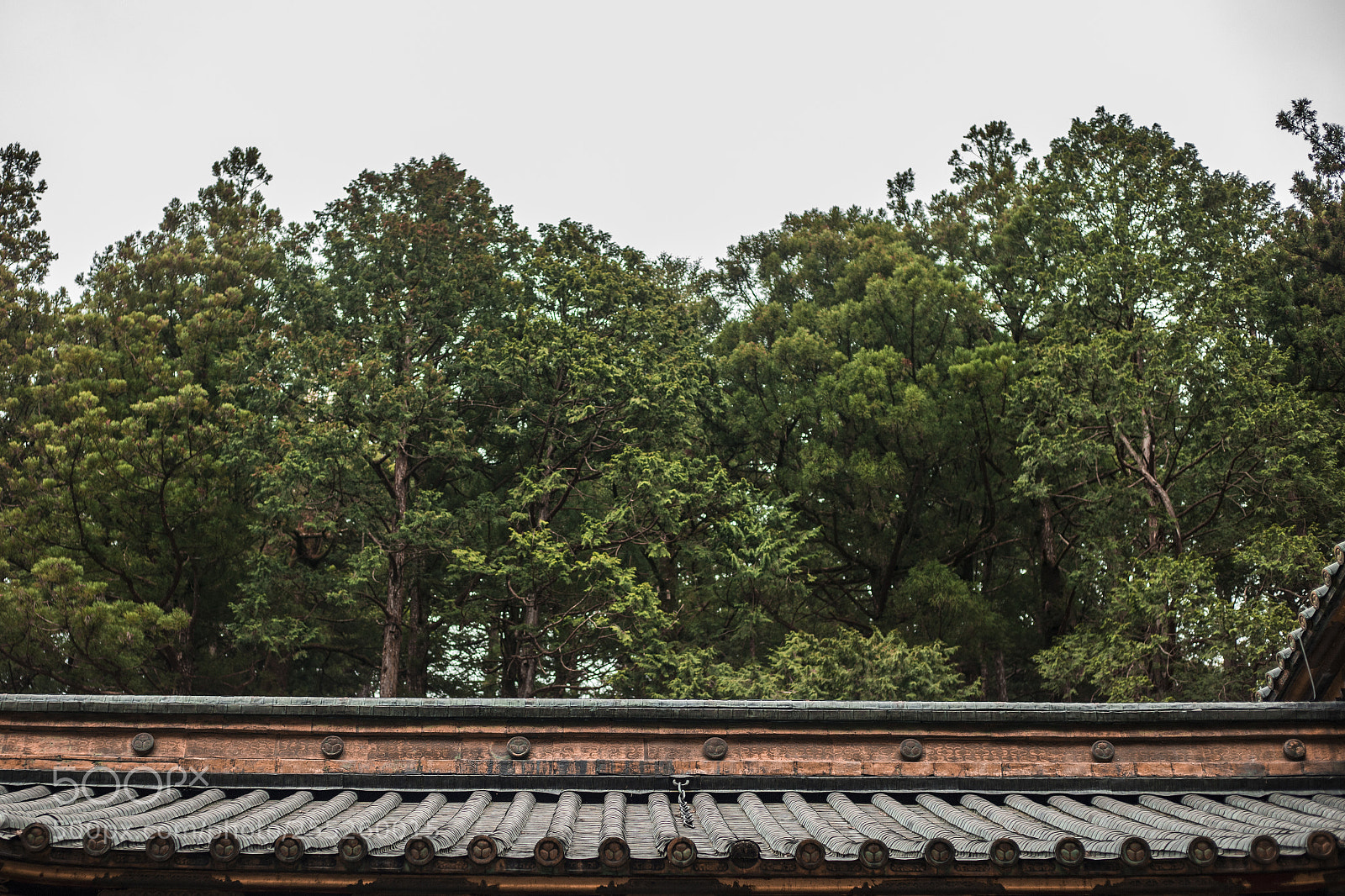 Canon EOS 6D Mark II sample photo. Japanese roof and forest photography