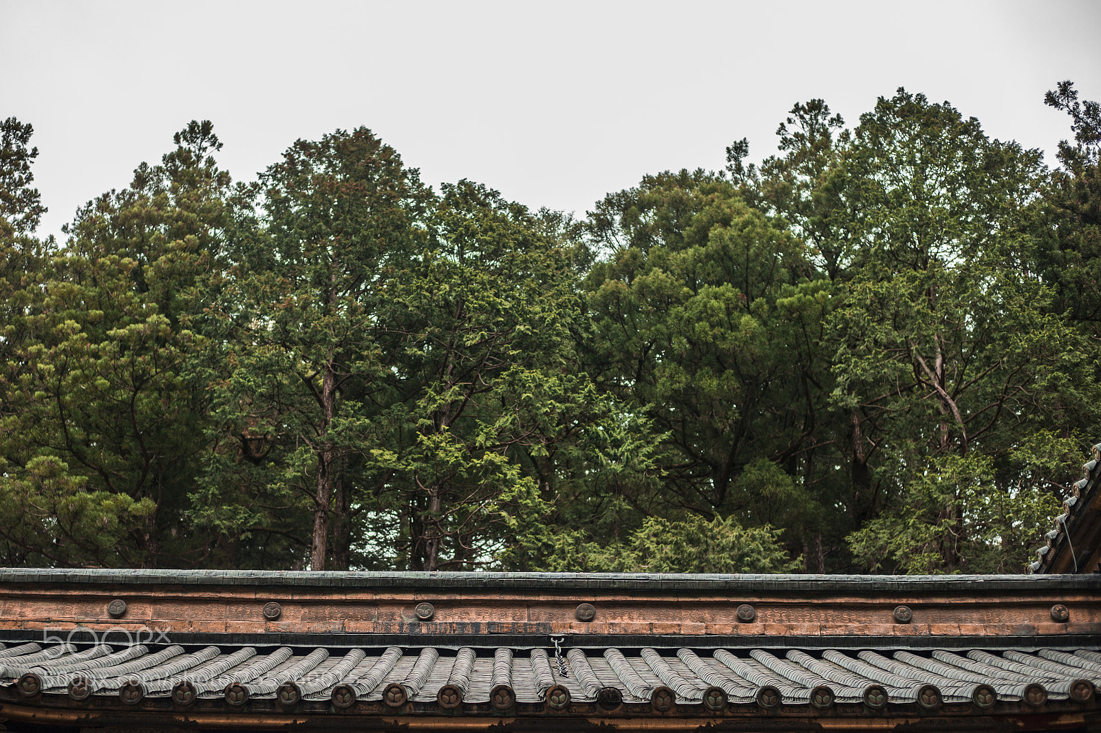 Canon EOS 6D Mark II sample photo. Japanese roof and forest photography