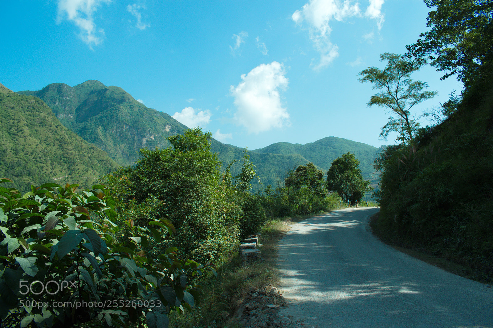 Nikon D5600 sample photo. Mountain roda photography