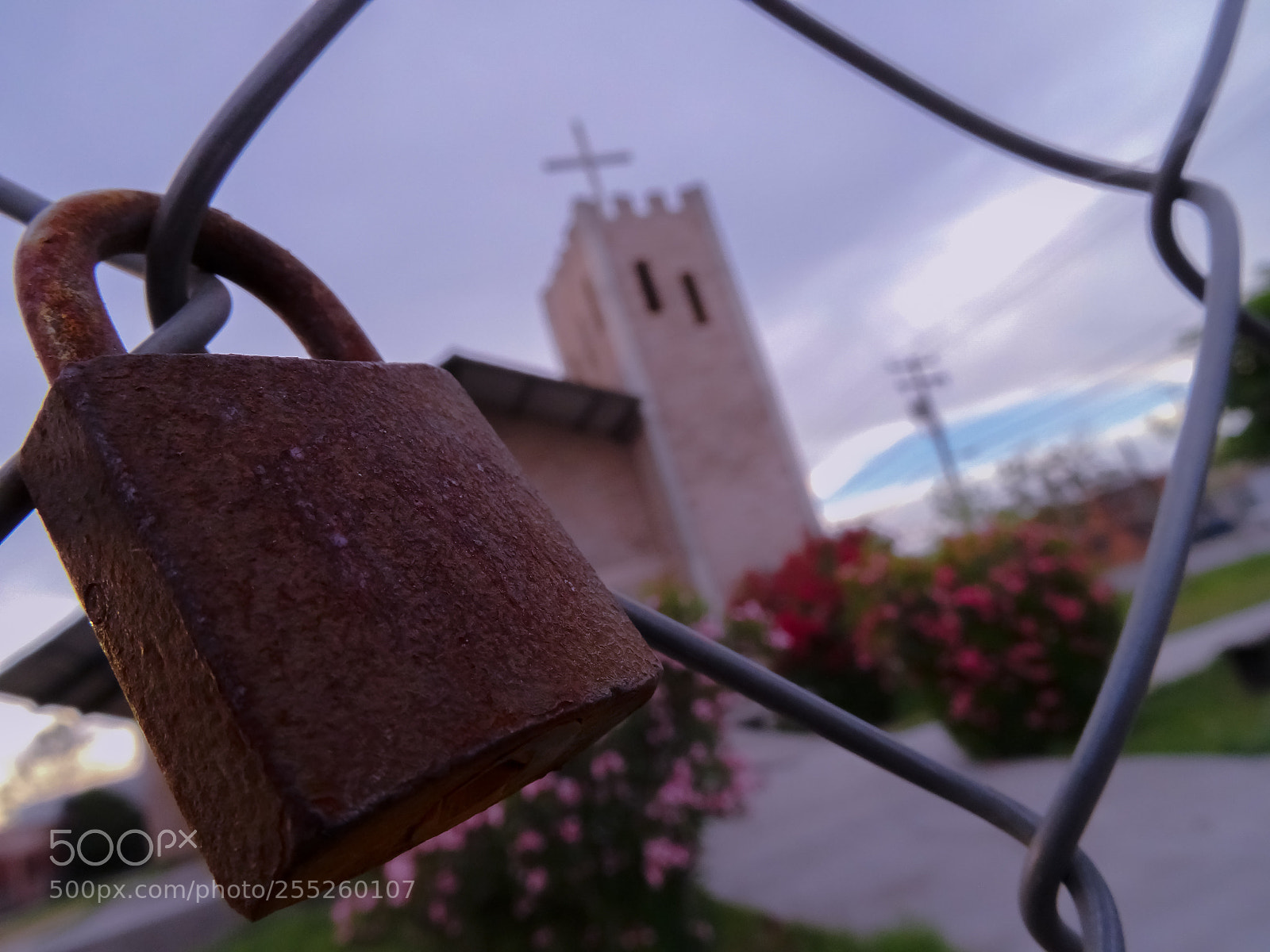 Sony Cyber-shot DSC-HX50V sample photo. Untitled photography