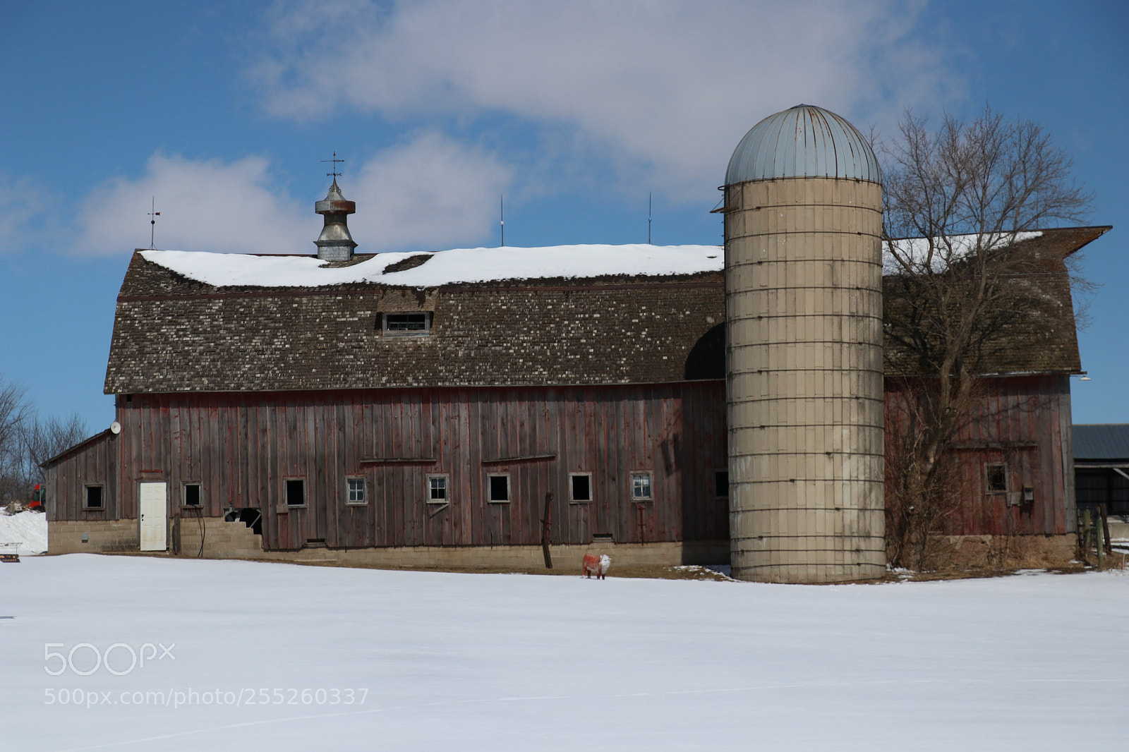 Canon EOS 80D sample photo. Barn photography