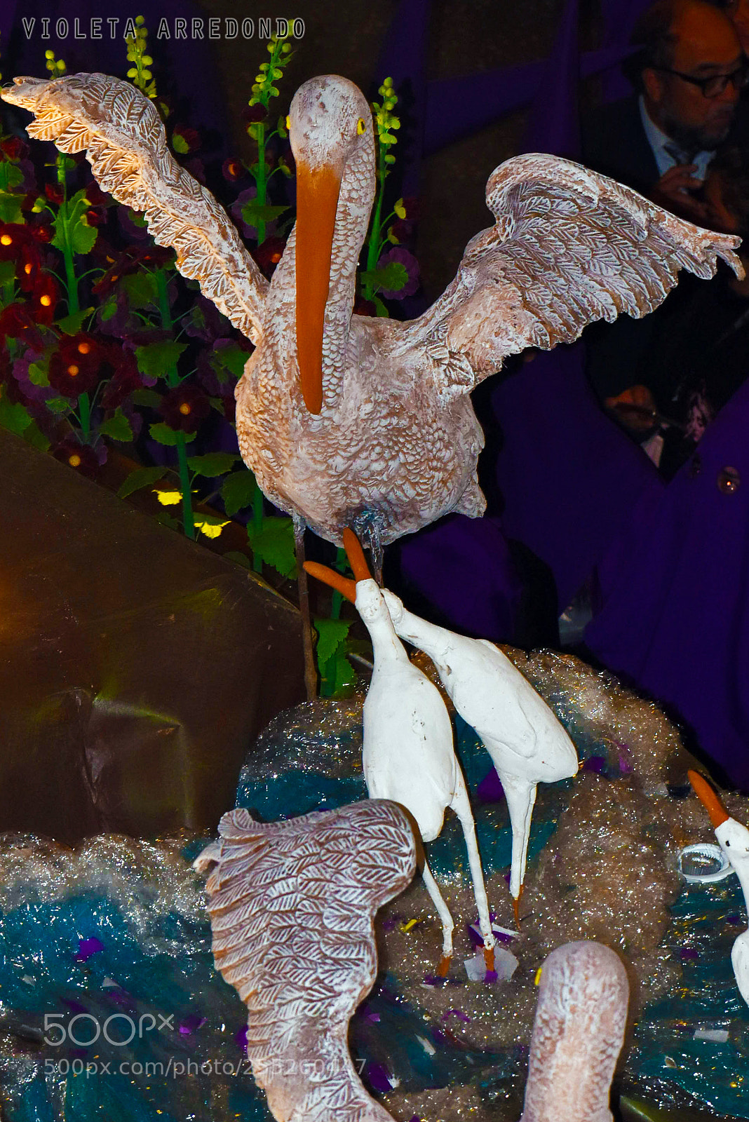 Nikon D5600 sample photo. Ibis photography