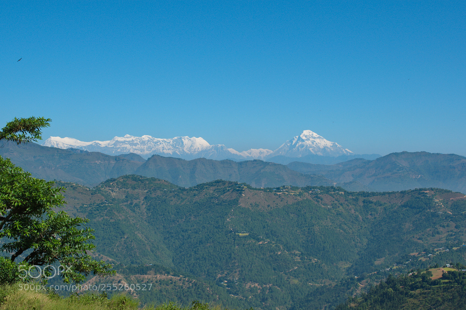 Nikon D5600 sample photo. Himalyas photography