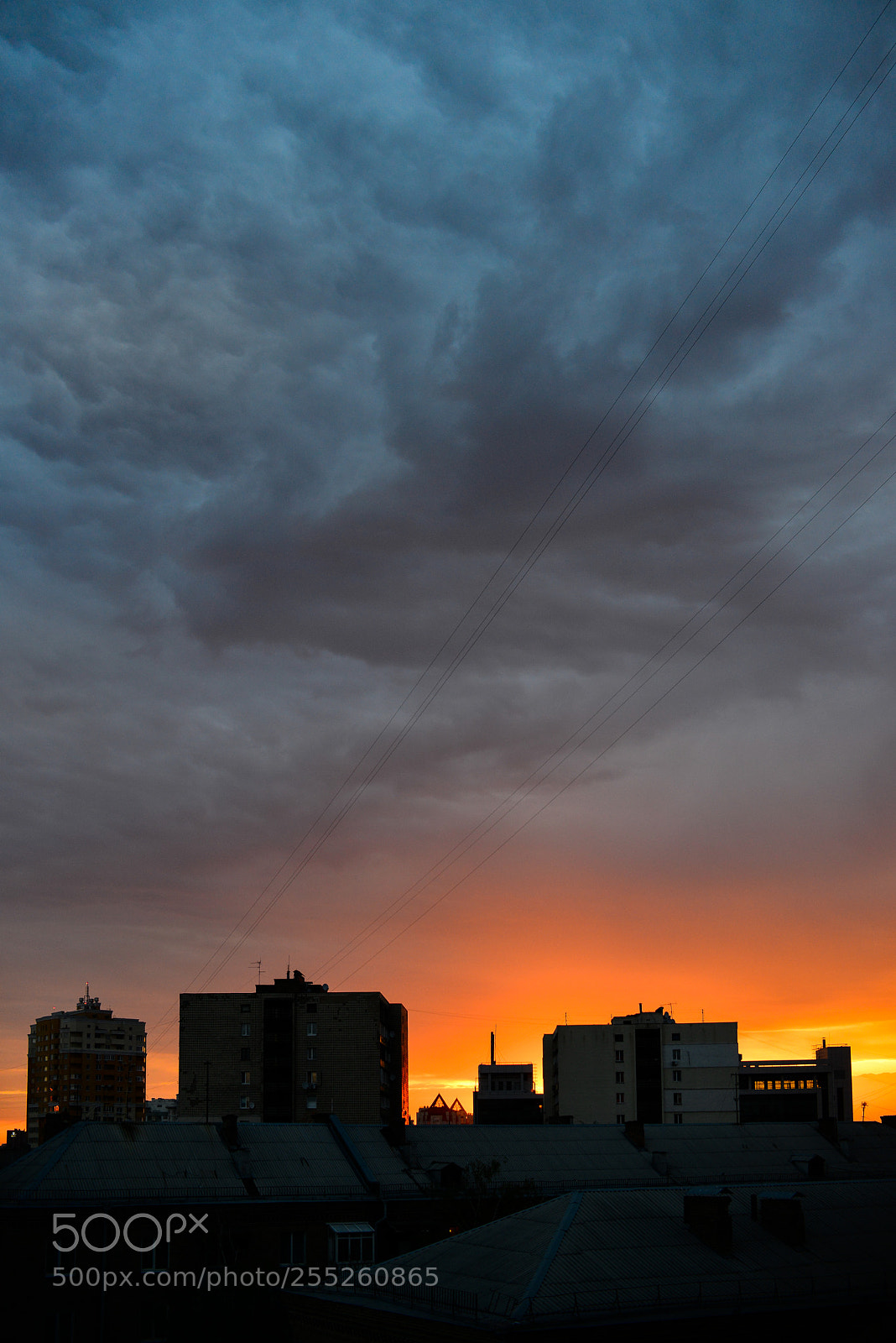 Nikon D800 sample photo. Li photography