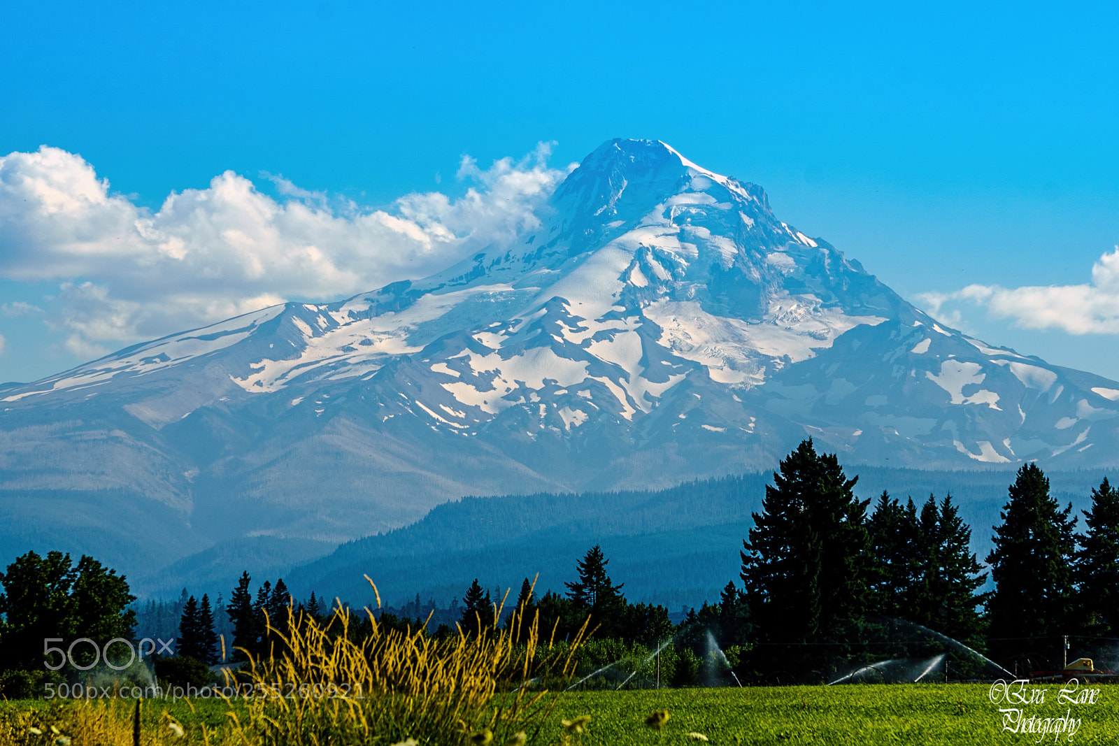 Sony a6000 sample photo. Mt hood summer photography