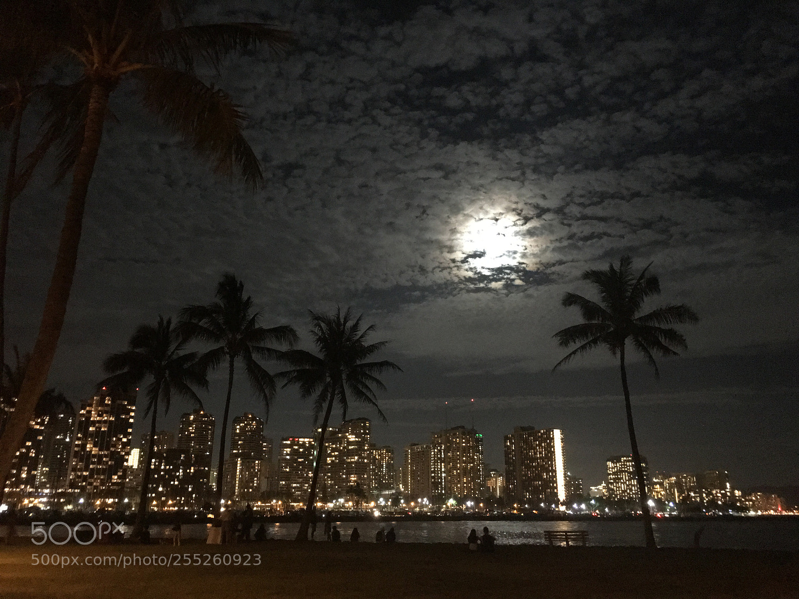 Apple iPhone 6s Plus sample photo. Honolulu nights and mr photography