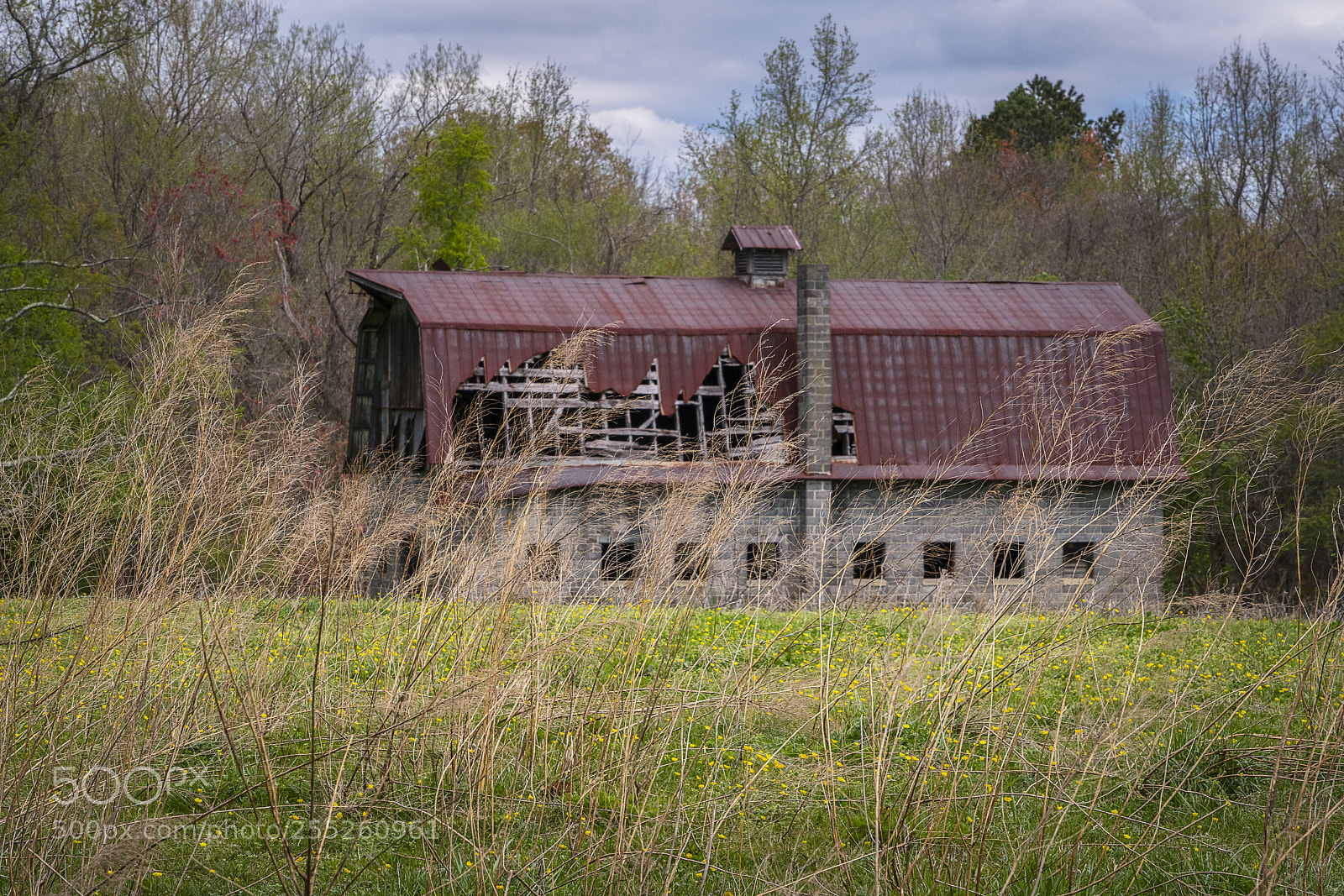 Sony a7R III sample photo. Abandoned barn in field photography