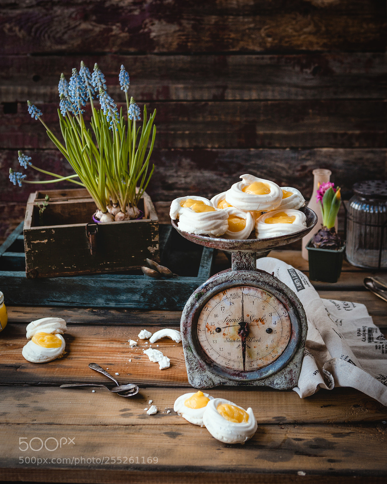 Canon EOS 5D Mark II sample photo. Meringues with lemon curd photography