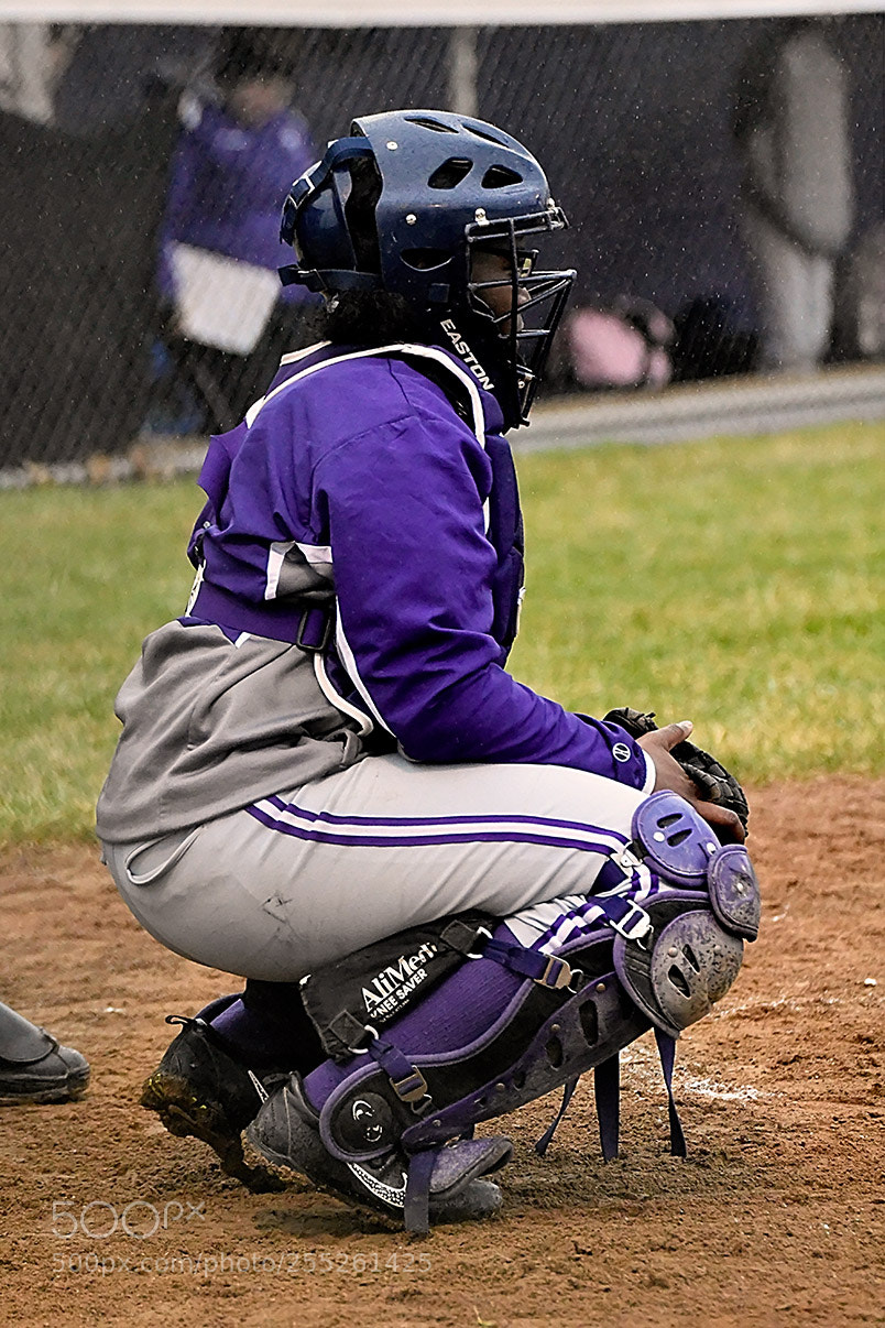 Nikon D500 sample photo. 4-18_0218.jpg photography
